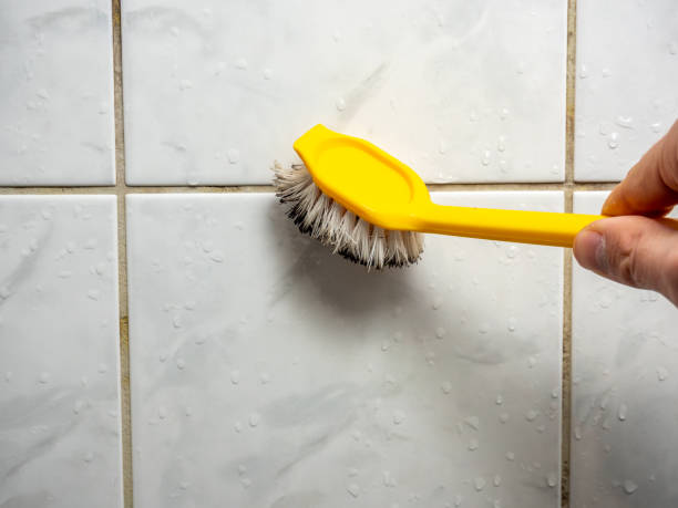 Water Damage Restoration in West Long Branch, NJ