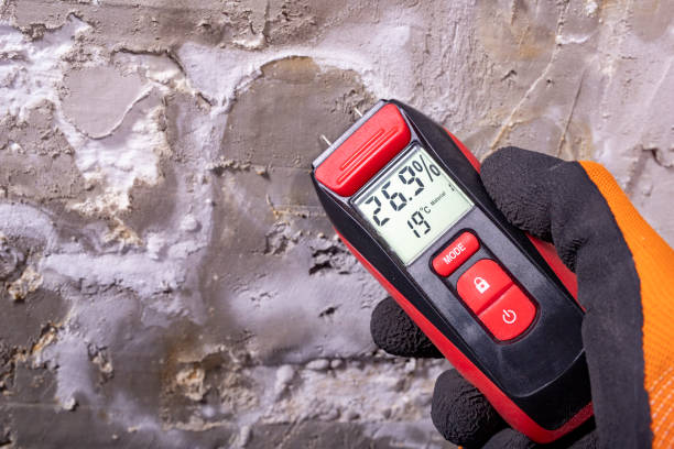 Best Crawl Space Mold Removal  in West Long Branch, NJ