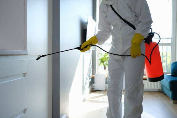 Home Mold Removal in West Long Branch, NJ
