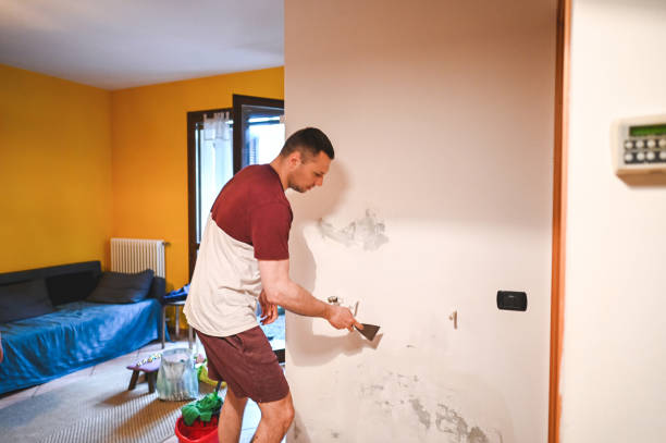 Best Residential Mold Removal  in West Long Branch, NJ