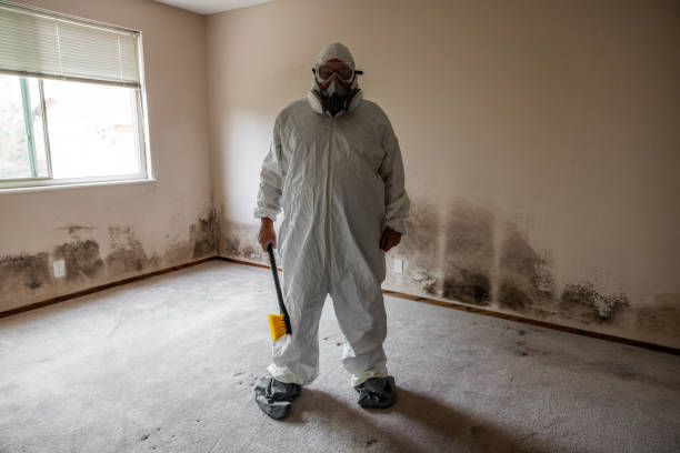 Best Mold Remediation  in West Long Branch, NJ